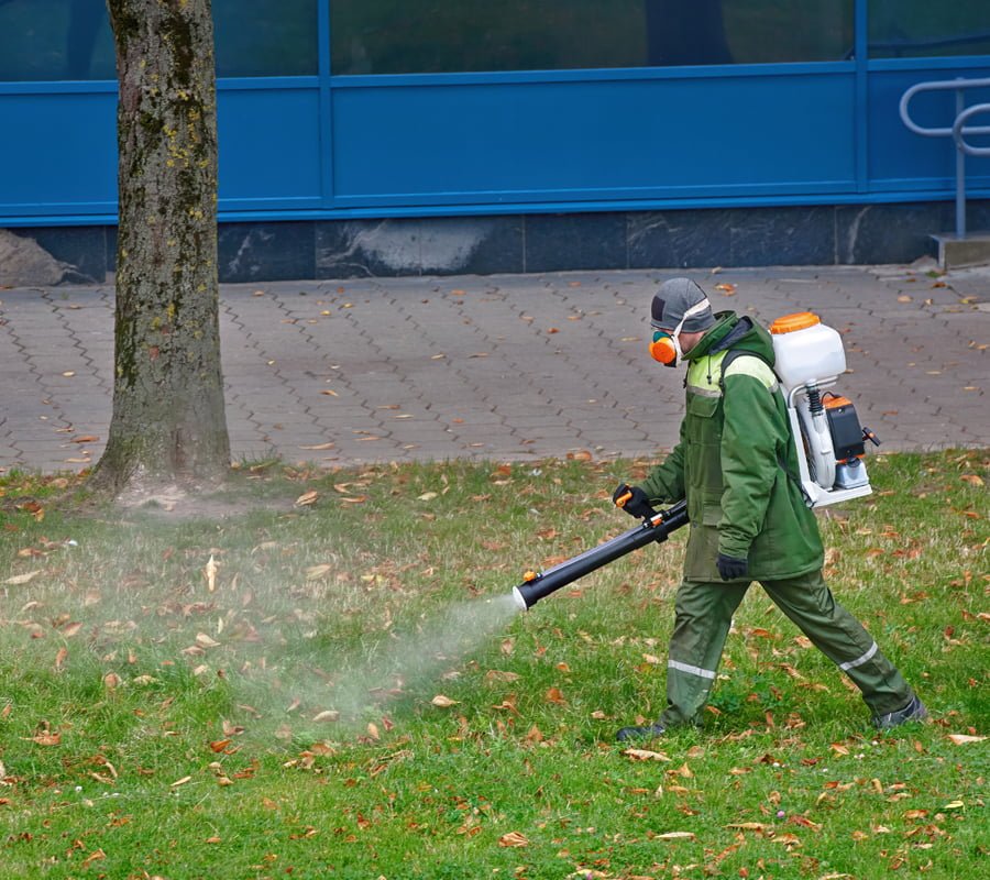 Weed spraying